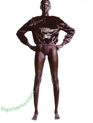 Alek Wek / msalekwek nude photo #0002