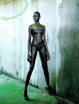 Alek Wek / msalekwek nude photo #0012