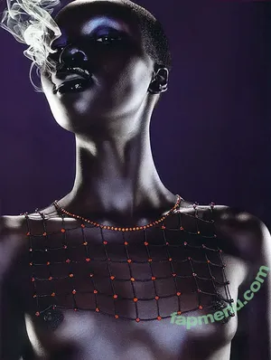 Alek Wek / msalekwek nude photo #0013