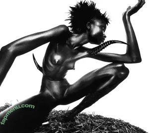 Alek Wek / msalekwek nude photo #0014