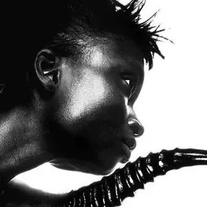 Alek Wek / msalekwek nude photo #0017