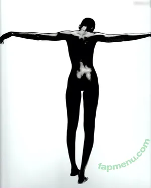 Alek Wek / msalekwek nude photo #0018