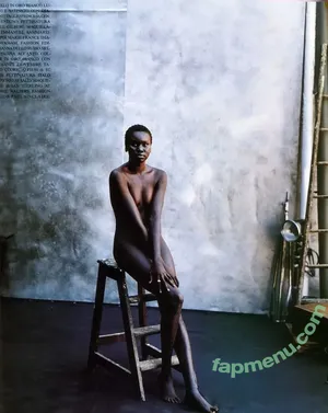 Alek Wek / msalekwek nude photo #0029