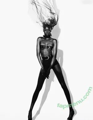 Alek Wek / msalekwek nude photo #0035