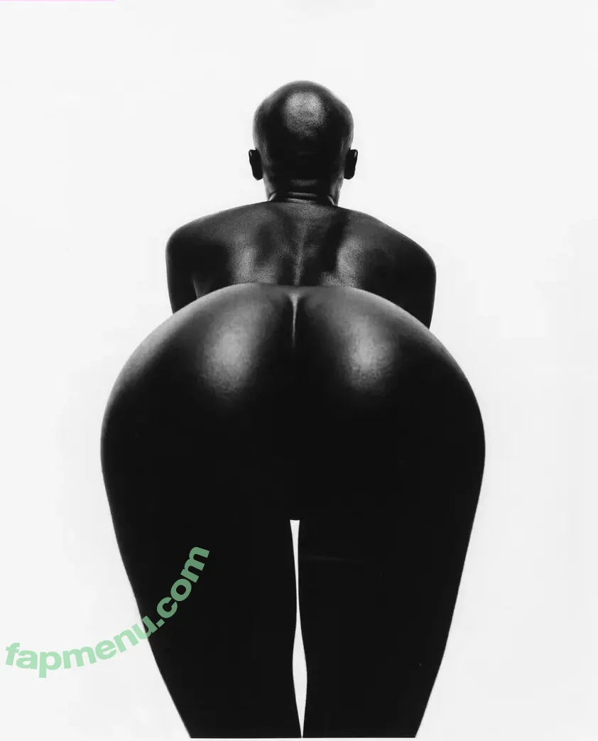 Alek Wek nude photo #0005 (msalekwek)