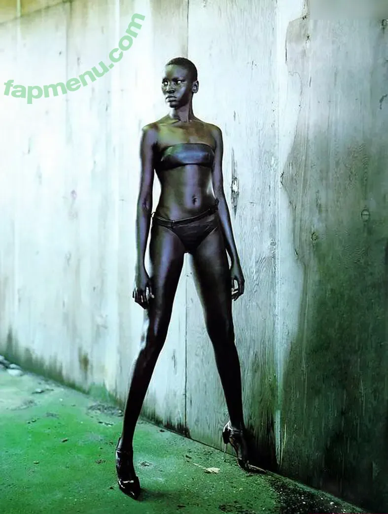 Alek Wek nude photo #0012 (msalekwek)