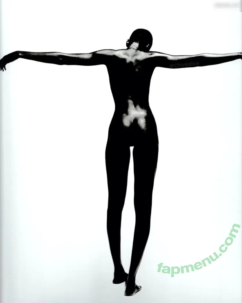 Alek Wek nude photo #0018 (msalekwek)