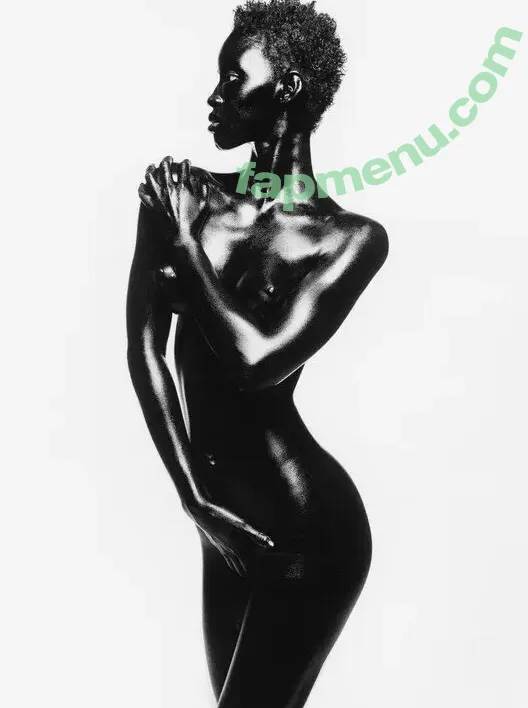 Alek Wek nude photo #0023 (msalekwek)