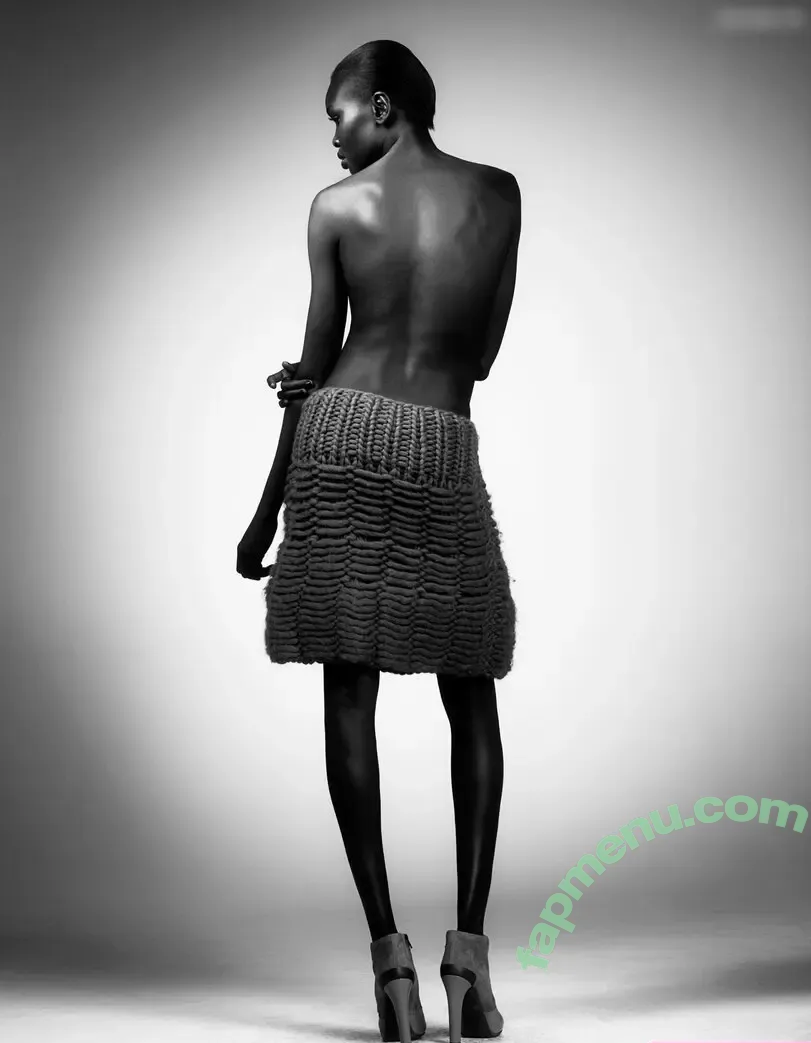 Alek Wek nude photo #0031 (msalekwek)