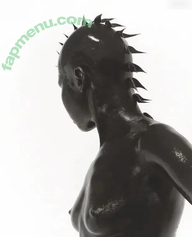 Alek Wek nude photo #0033 (msalekwek)