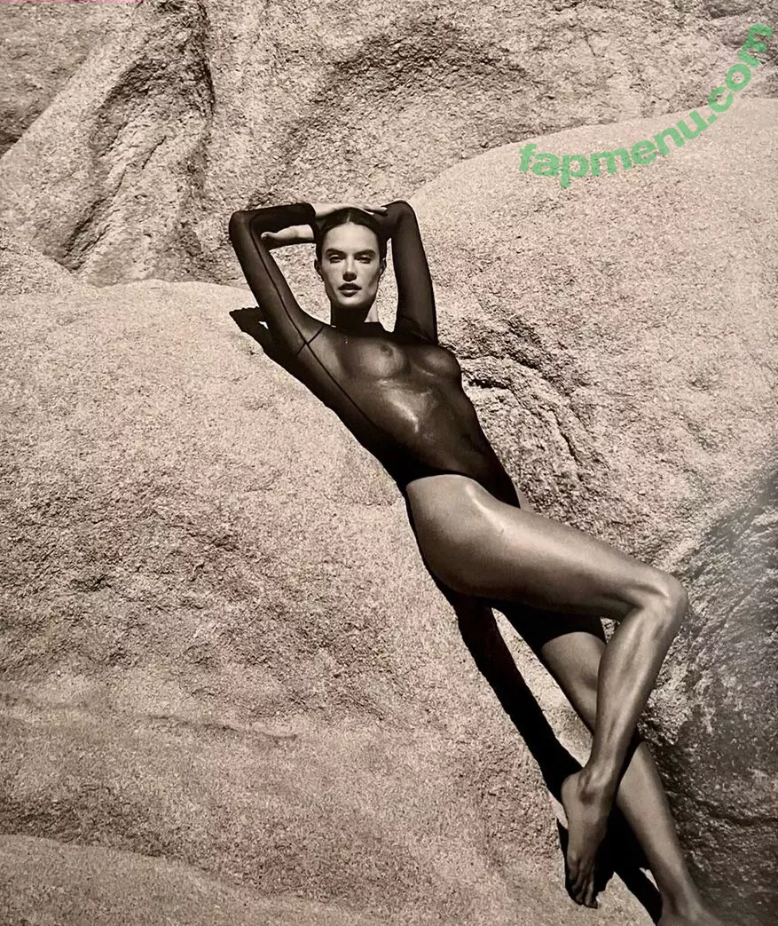 Alessandra Ambrosio nude photo #1111 (aleambrosio / alelovesanja / alessandraambrosio)