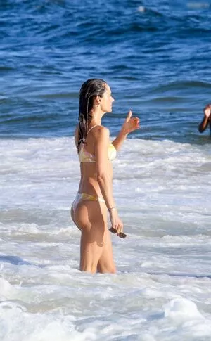 Alessandra Ambrosio / aleambrosio / alelovesanja / alessandraambrosio nude photo #3208