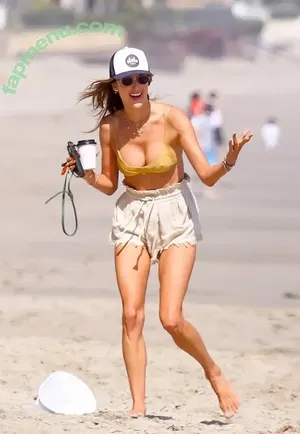 Alessandra Ambrosio / alelovesanja / alessandraambrosio nude photo #3756