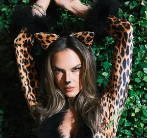 Alessandra Ambrosio / aleambrosio / alelovesanja / alessandraambrosio nude photo #4200