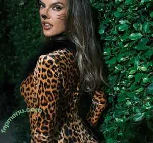 Alessandra Ambrosio / aleambrosio / alelovesanja / alessandraambrosio nude photo #4202