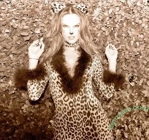 Alessandra Ambrosio / aleambrosio / alelovesanja / alessandraambrosio nude photo #4208