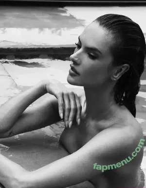 Alessandra Ambrosio / aleambrosio / alelovesanja / alessandraambrosio nude photo #4222