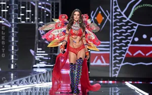 Alessandra Ambrosio / Alessandra / aleambrosio / alelovesanja / alessandraambrosio nude photo #4359