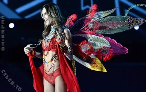 Alessandra Ambrosio / Alessandra / aleambrosio / alelovesanja / alessandraambrosio nude photo #4364