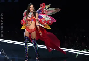 Alessandra Ambrosio / Alessandra / aleambrosio / alelovesanja / alessandraambrosio nude photo #4365