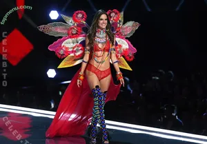 Alessandra Ambrosio / Alessandra / aleambrosio / alelovesanja / alessandraambrosio nude photo #4370