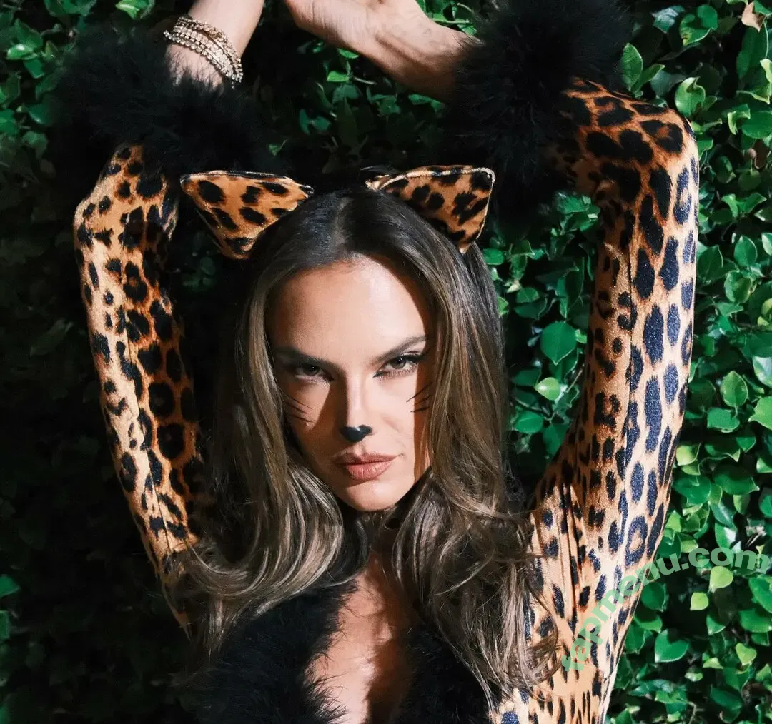 Alessandra Ambrosio nude photo #4200 (aleambrosio / alelovesanja / alessandraambrosio)