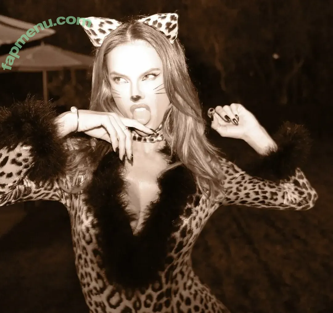 Alessandra Ambrosio nude photo #4203 (aleambrosio / alelovesanja / alessandraambrosio)