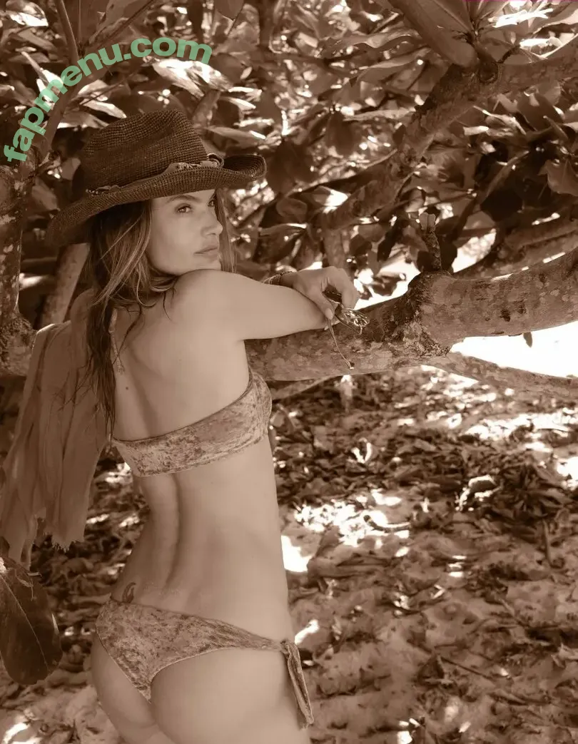 Alessandra Ambrosio nude photo #4258 (aleambrosio / alelovesanja / alessandraambrosio)