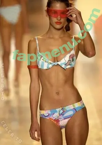 Alessandra Ambrosio nude photo #4434 (Alessandra / aleambrosio / alelovesanja / alessandraambrosio)