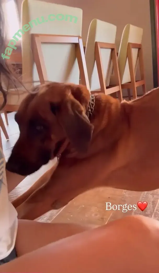 Alessandra Negrini nude photo #0337 (alessandra_negrini / alessandranegrini)