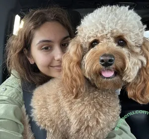 Alessia Cara / 697145310 / alessiacara / alessiasmusic nude photo #0243