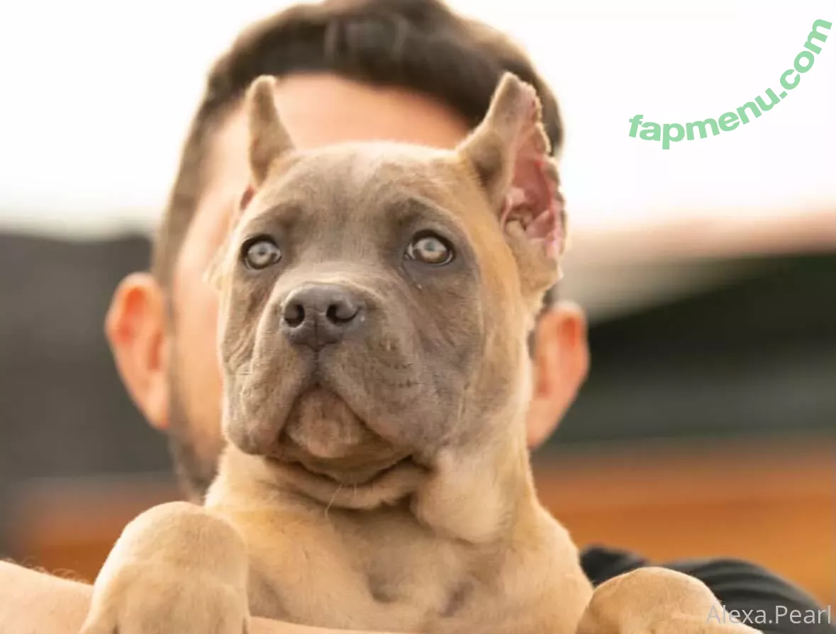 Alexa Pearl nude photo #5648 (Alexapearl / alexa_pearlfans / missalexapearl)