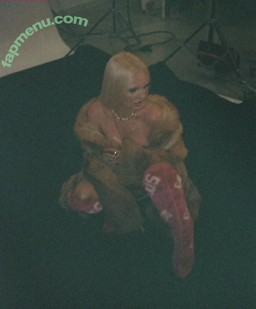 Alexandra Stan nude photo #2333 (alexandrastan)