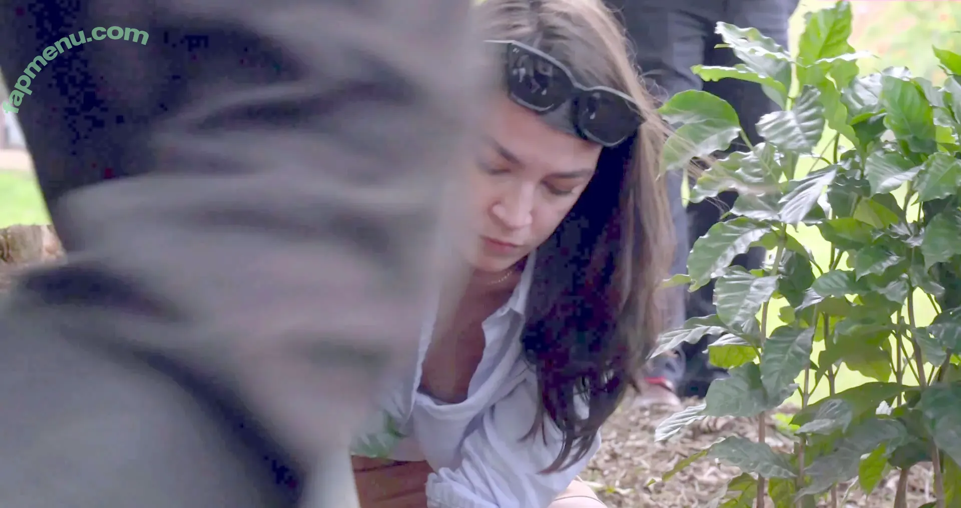 Alexandria Ocasio-Cortez nude photo #0367 (AOC / Alexandria Ocasio Cortez)