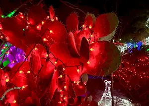 alexandriaa / miss_alexandriaa_ nude photo #0012