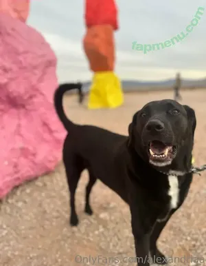 alexandriaa / miss_alexandriaa_ nude photo #0017