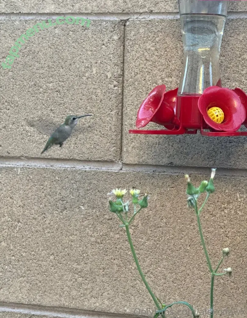 alexisfawx nude photo #0034 (alexisfawxlive)