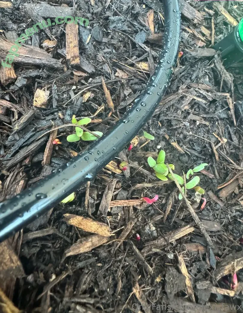 alexisfawx nude photo #0036 (alexisfawxlive)