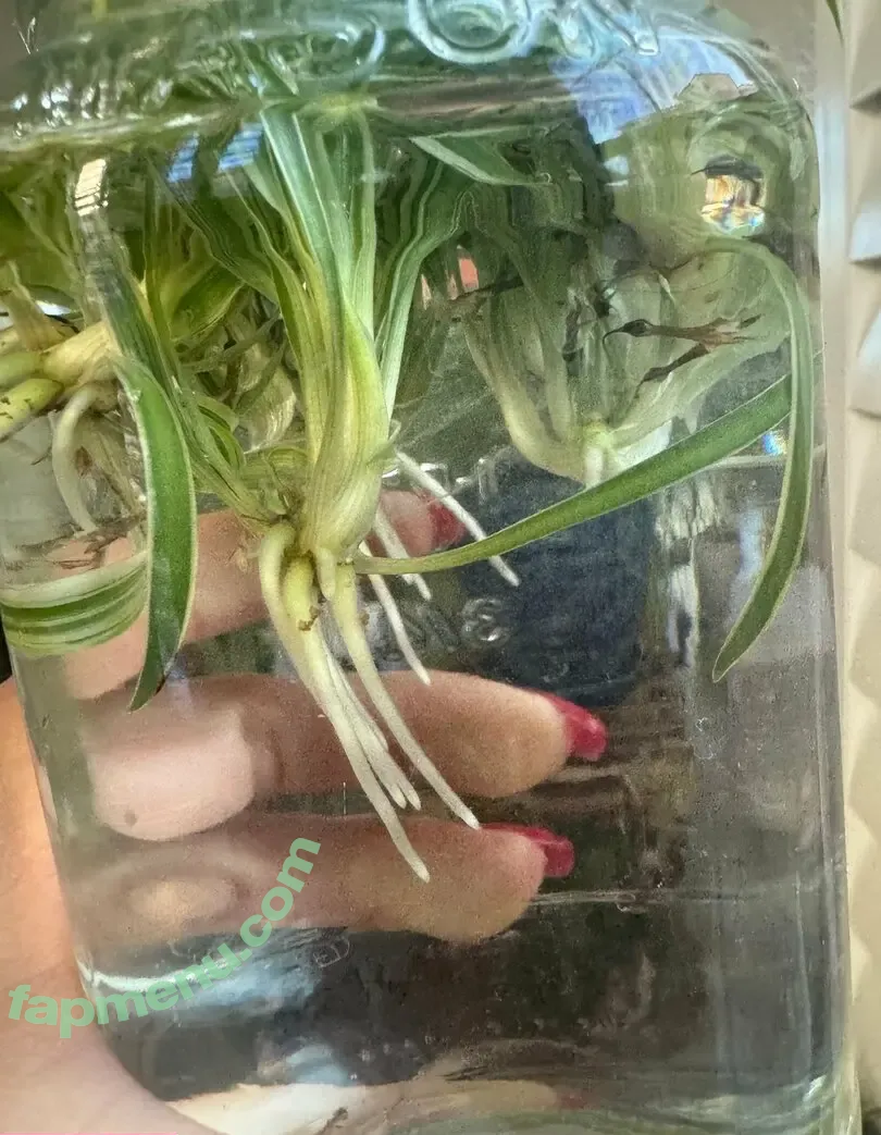 alexisfawx nude photo #0038 (alexisfawxlive)