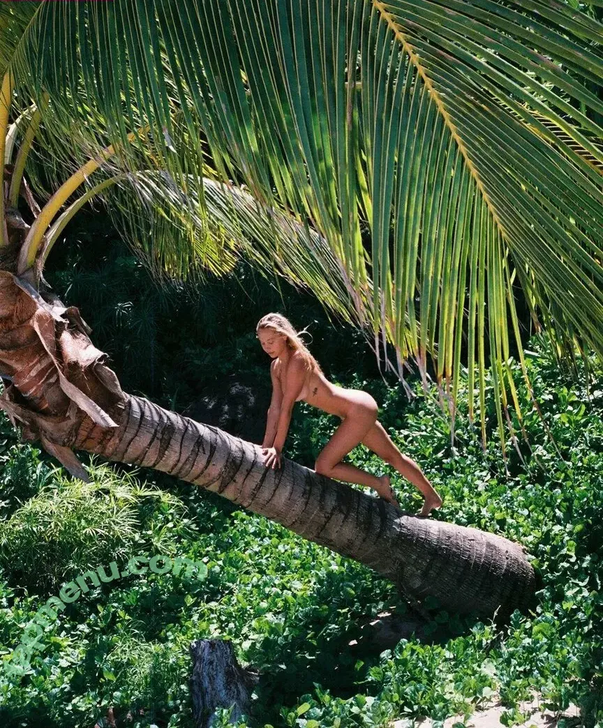 alexisren nude photo #0024 (alexisren)