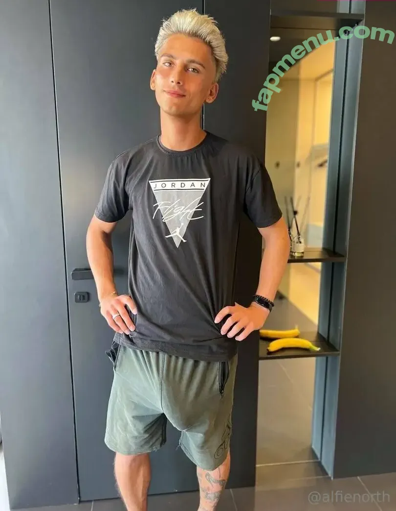 alfienorthfree nude photo #0497 (alfienorth)