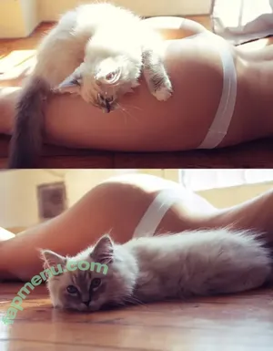 alice_with_cats / Alice With Cats / alicecosplay nude photo #0013