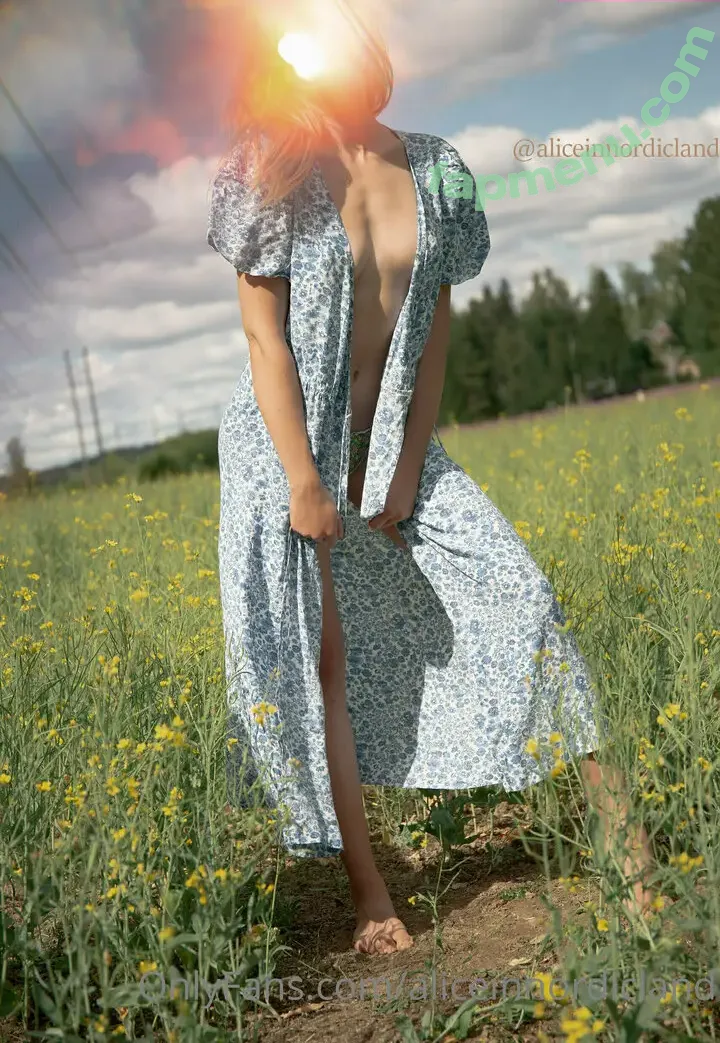 aliceinnordicland nude photo #0033 (aliceinnordicland)