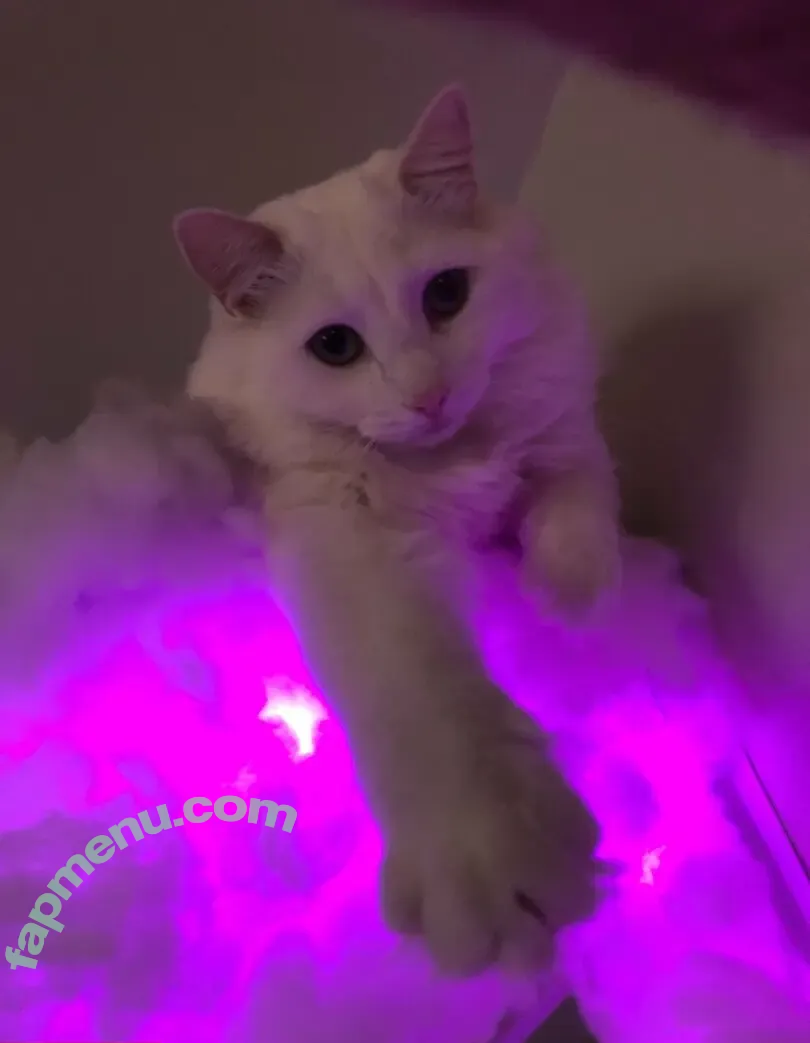 aliceinnude nude photo #0006 (alicenude92)