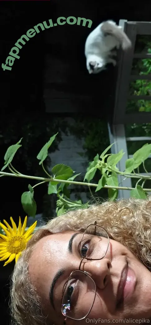 alicepika nude photo #0111 (alicepika)