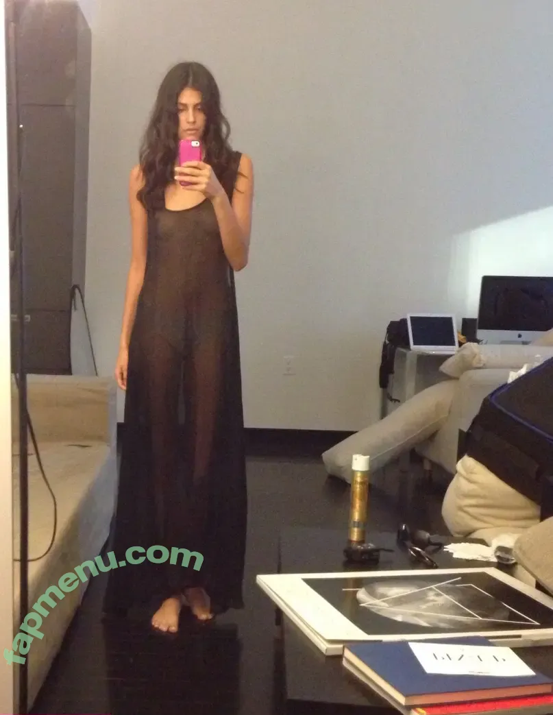 Alisar Ailabouni nude photo #0039 (alisarailabouni)