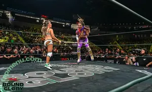 Alisha Edwards / BrandArmy.Com / Impact Wrestling / mrsaipalisha nude photo #0804