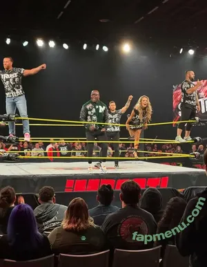 Alisha Edwards / BrandArmy.Com / Impact Wrestling / mrsaipalisha nude photo #0834