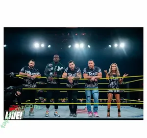 Alisha Edwards / BrandArmy.Com / Impact Wrestling / mrsaipalisha nude photo #0837