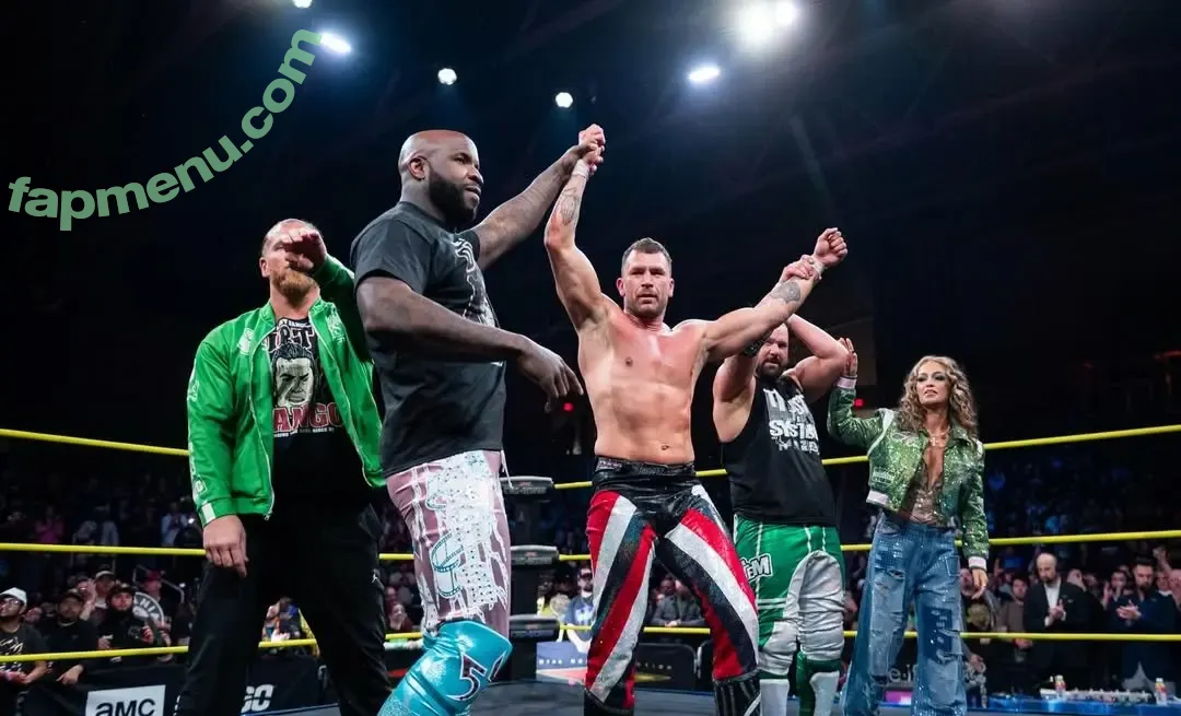 Alisha Edwards nude photo #0877 (BrandArmy.Com / Impact Wrestling / mrsaipalisha)